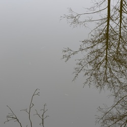 2018-04-14 Copenhagen/Utterslev Mose/DSC_0072.JPG